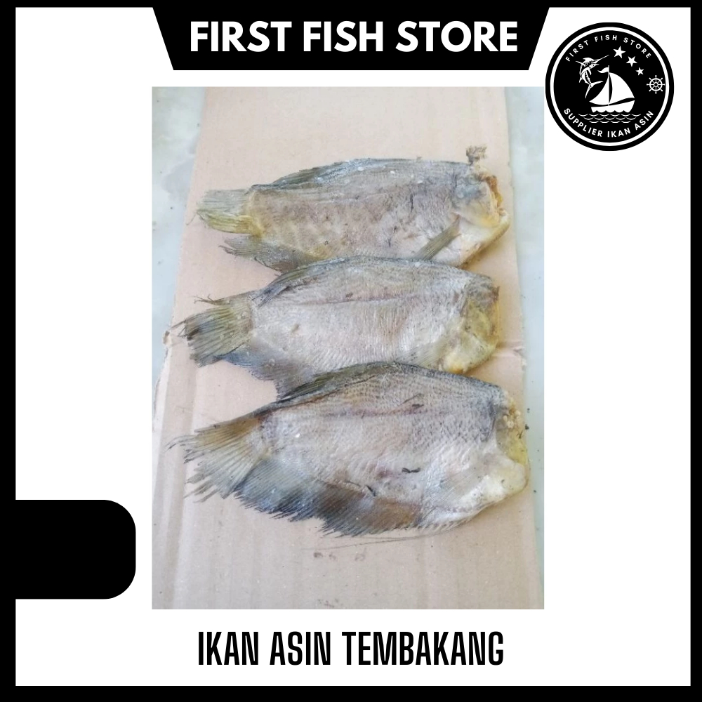 

Ikan Asin Tembakang 500 Gram - 250 Gram - Tambak Air Tawar - Terlaris