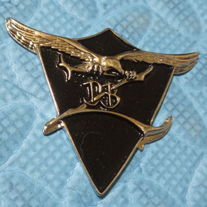 Logo Decal Gitar DBZ