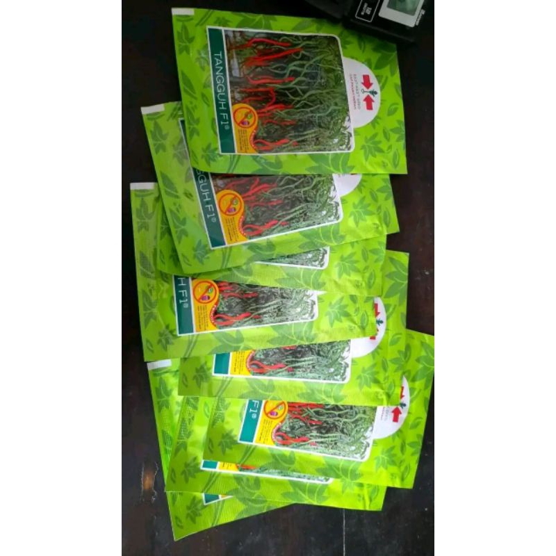 bibit cabai keriting tangguh F1 cap panah merah