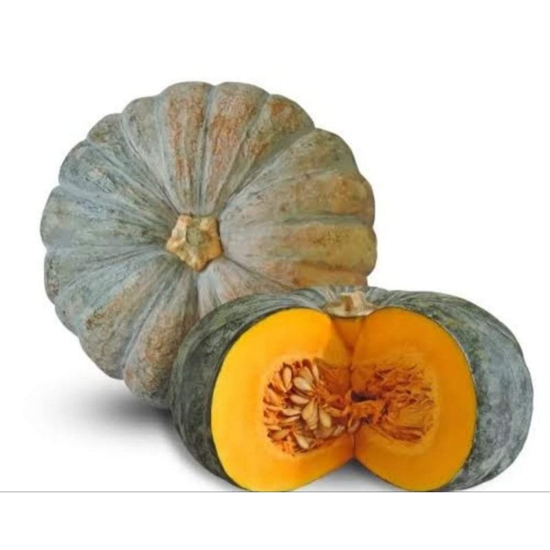 

Pumpkin labu kuning berat 3 kg