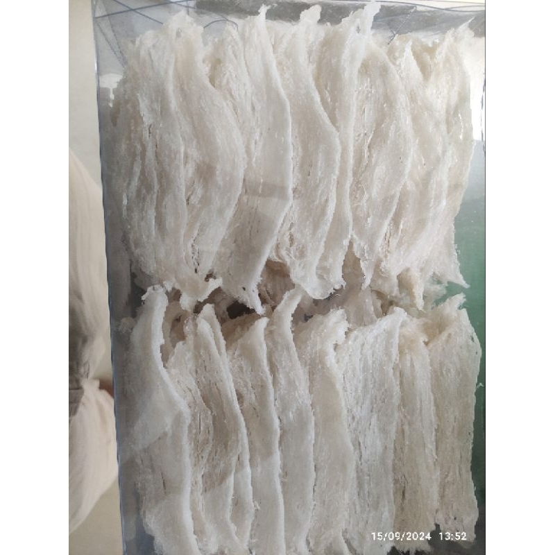 

walet patahan panjang