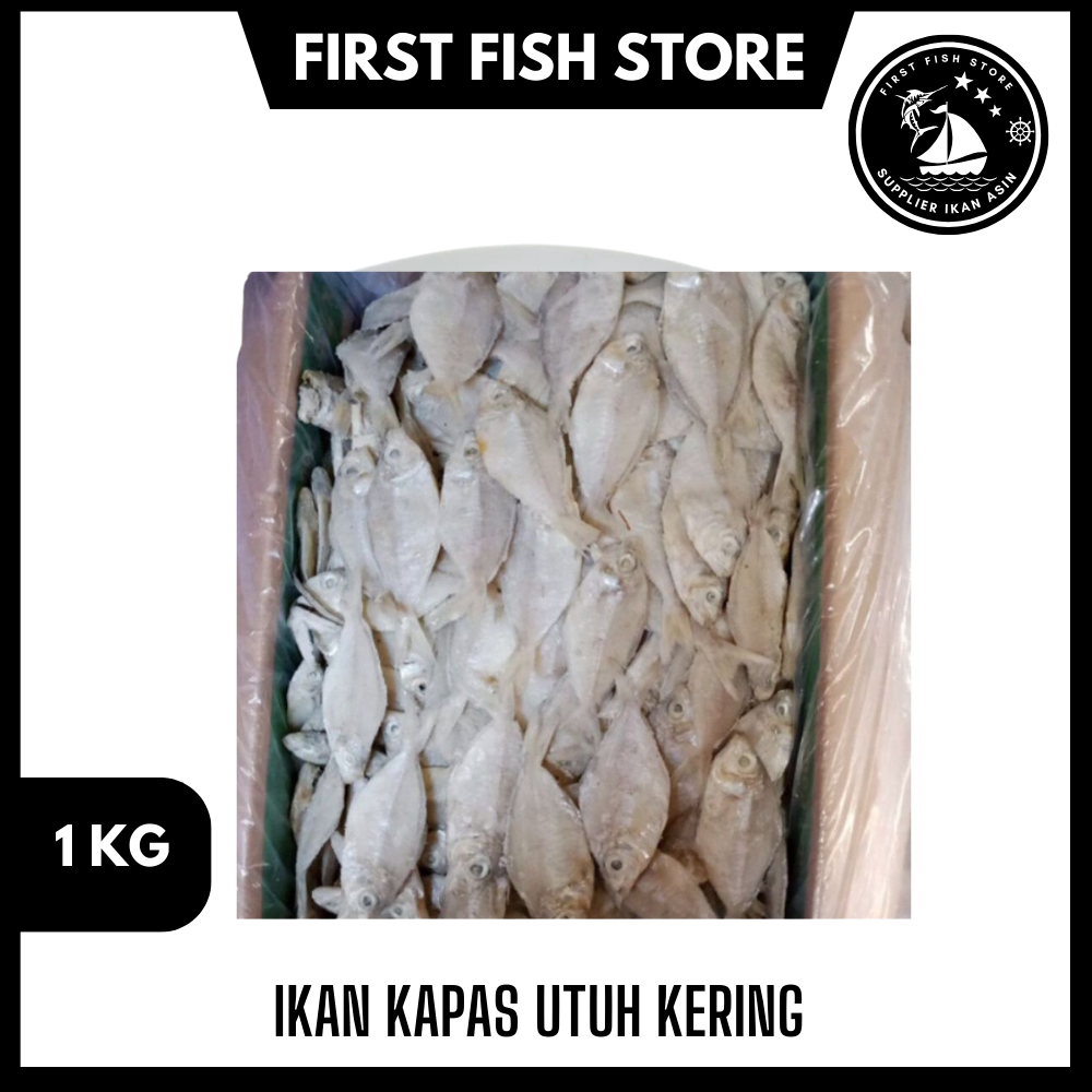 

Ikan Kapas Utuh Kering 1 Kg Gram Cita Rasa Laut Segar untuk Berbagai Sajian Lezat