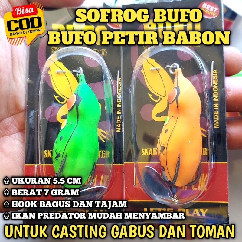 SOFROG BUFO PETIR BABON / SOFTFROG BUFO PETIR