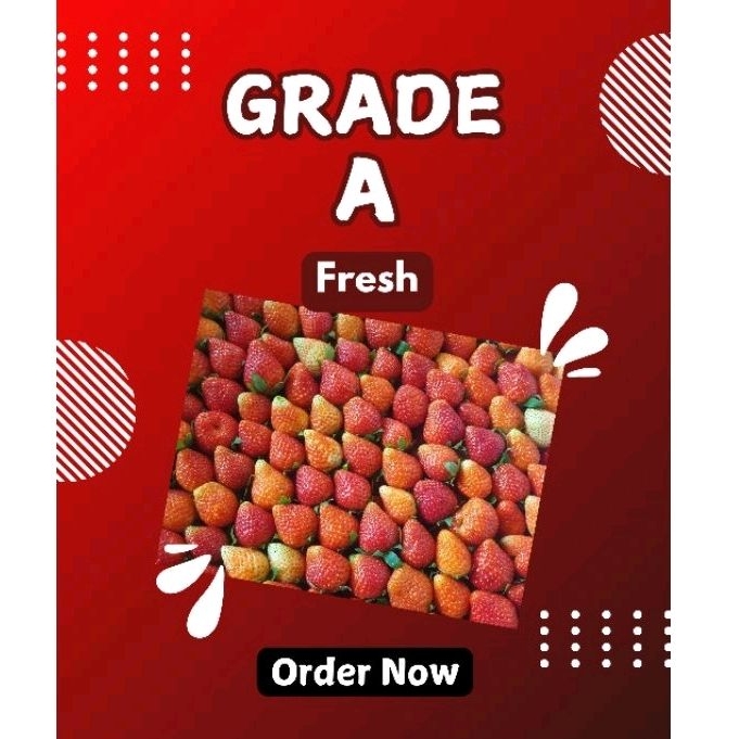 

STRAWBERRY ORGANIK FRESH GRADE A - 1KG / STRAWBERRY SEGAR / STRAWBERRY PREMIUM