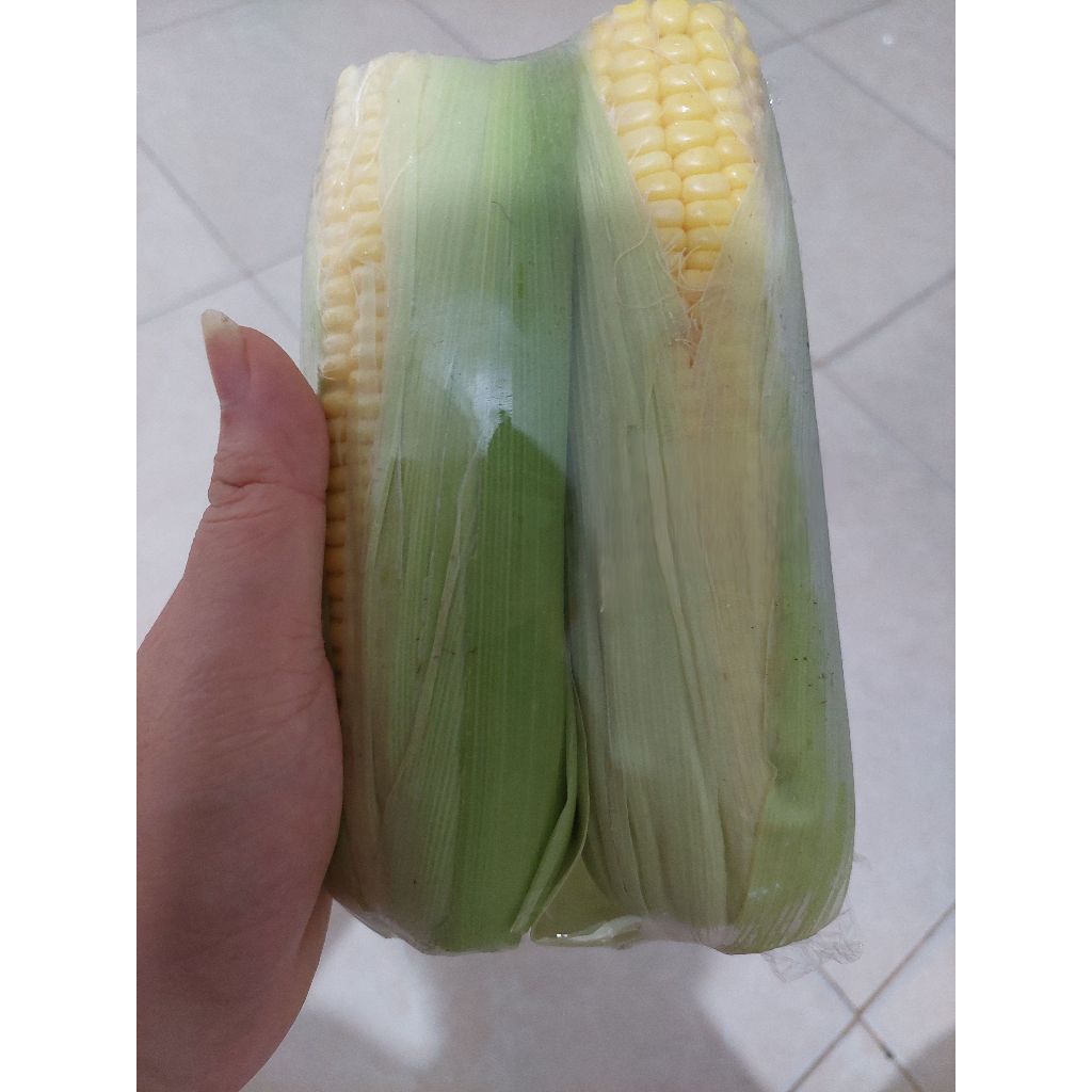 

Jagung Manis Sweet Corn Fresh Pack Kebutuhan Memasak Bahan Makanan Olahan Segar OJEK Pekanbaru