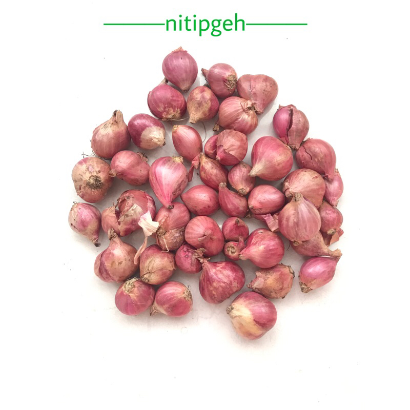 

nitipgeh Bawang Merah 150g