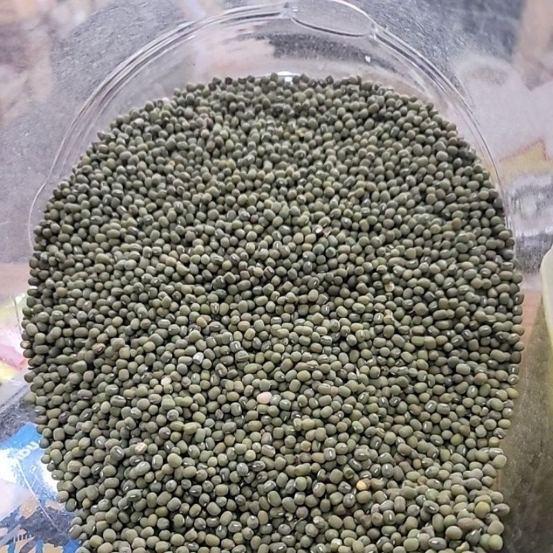 

kacang hijau butek tanggung