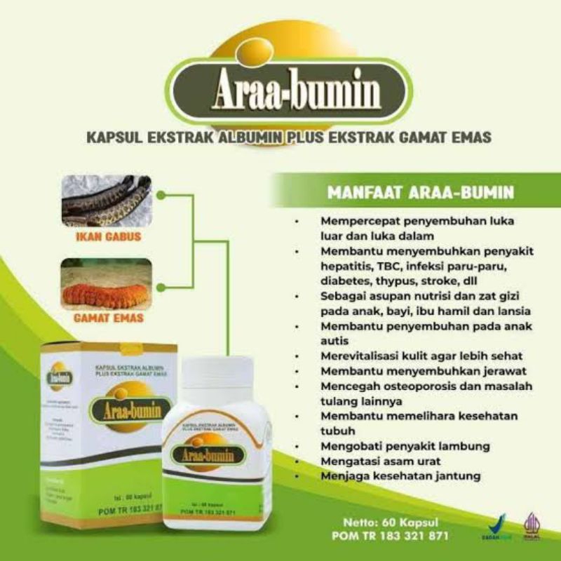 ARAABUMIN EKSTRAK GAMAT EMAS DAN KUTUK 60KAPSUL