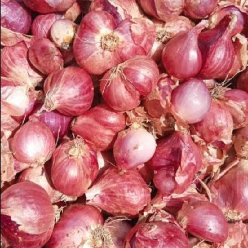 

bawang merah 250 gram