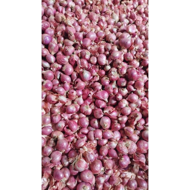 Bawang Merah Nganjuk 1kg