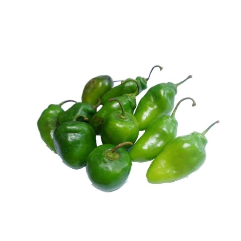 

cabe bendot