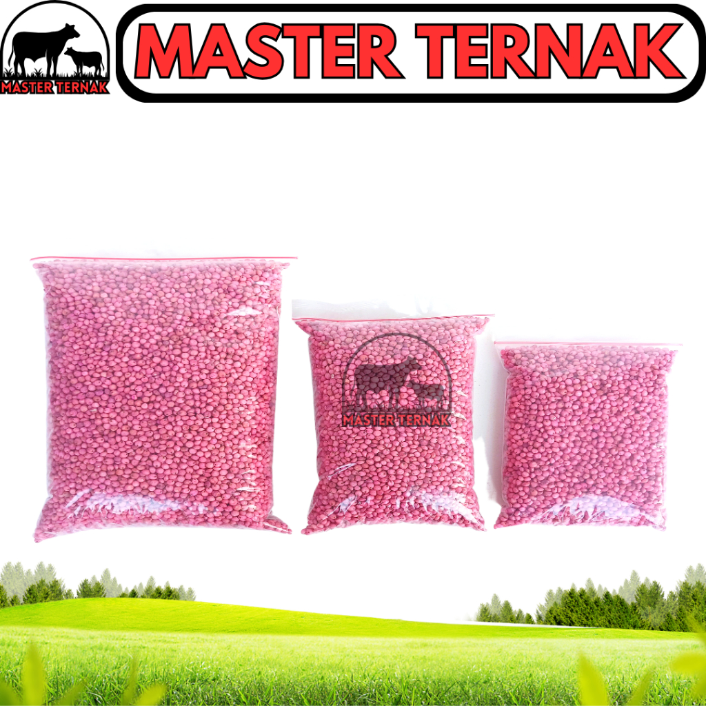 BIBIT SORGUM SOPER 9 - Benih Sorgum Varietas Soper - Varian (500gr & 250gr) Sorghum Cantel hijauan p