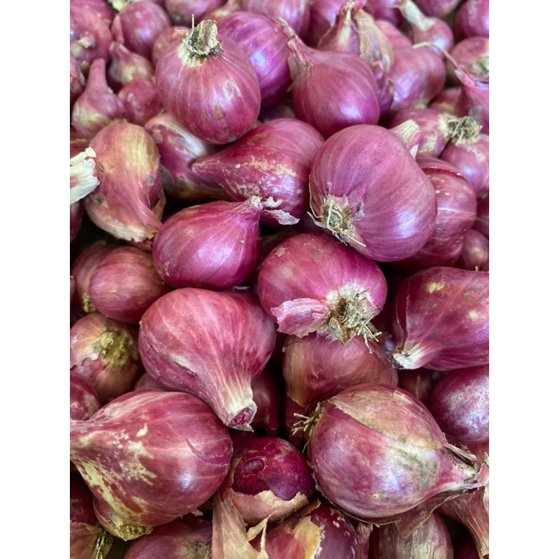 

Bawang Merah Super asli premium bawang putih 1 kg lokal fresh kering