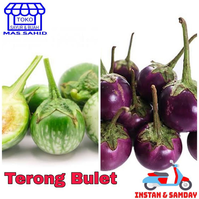 

Terong Bulat Terong Lalap 100 Gram