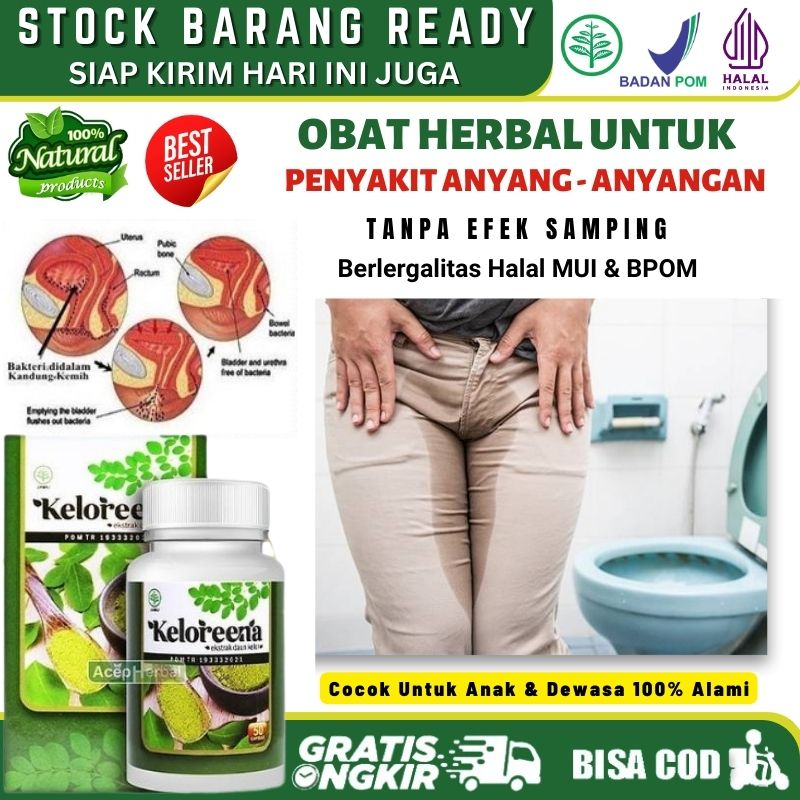 Obat Herbal Infeksi Saluran Kemih, Obat Anyang - Anyangan Aman Untuk Anak & Dewasa, Obat Sakit Saat 