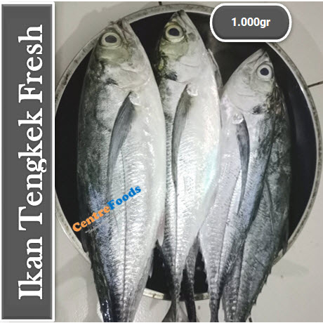 

Ikan Tengkek - Ikan Cincaru Fresh | 1.000gr [ Harga Per KG ]
