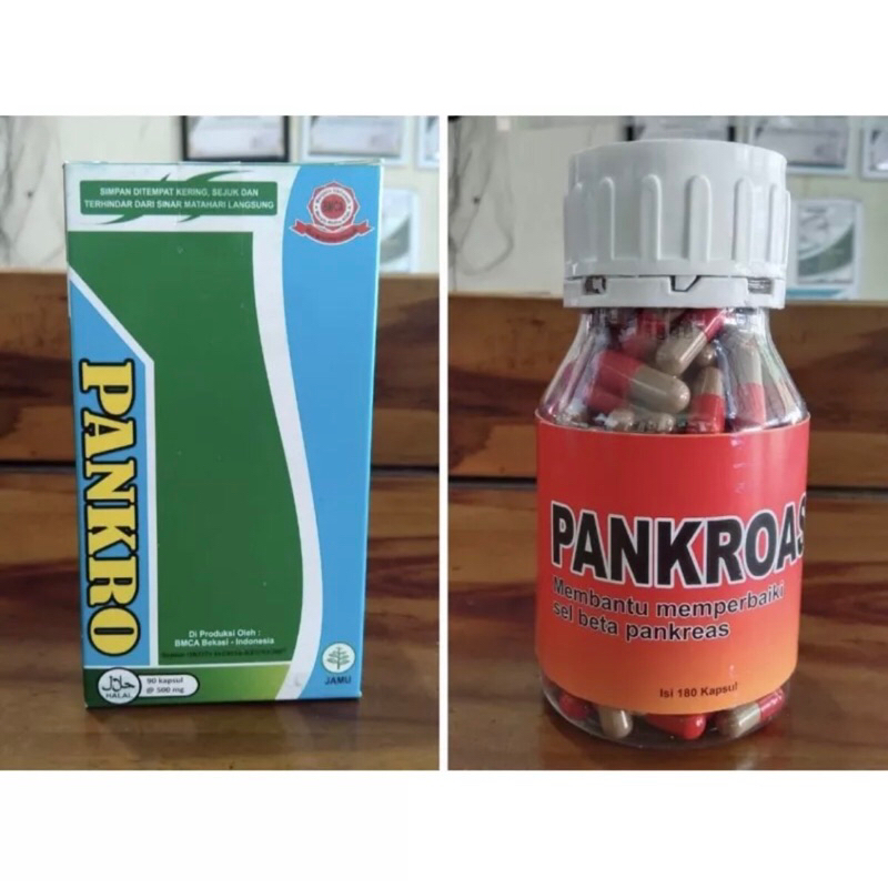 (COD) DIABETES HERBAL PANKRO (PANKROAS)