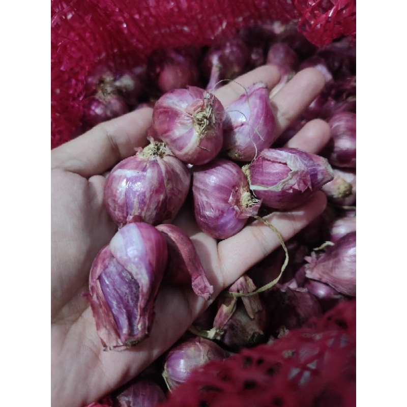 

Bawang Merah Murah asli Brebes 1kg