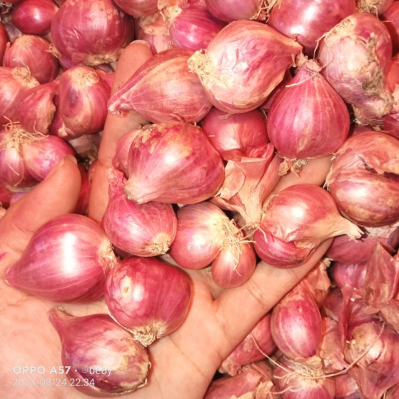 

bawang merah 1kg