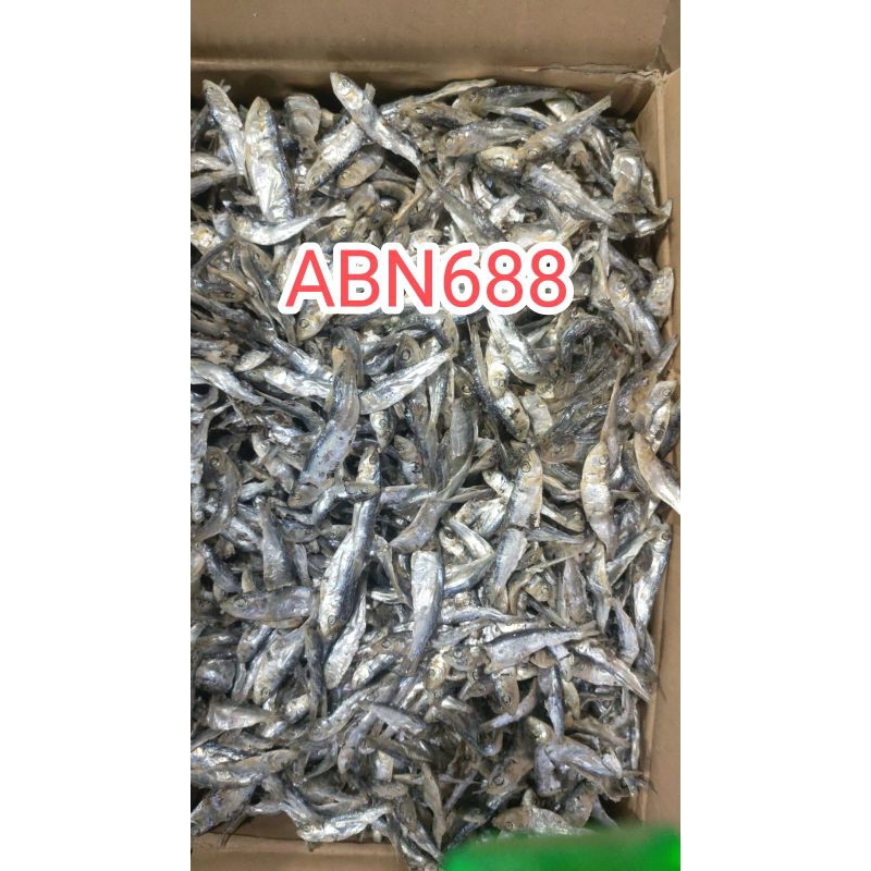 

ikan Asin Lemet cekong berkualitas 500gram