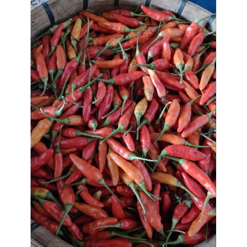 

cabai merah sret