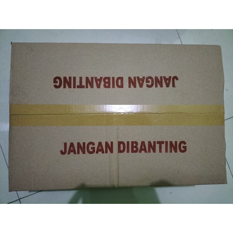 jamu herbal kadal Mesir besar 1 karton
