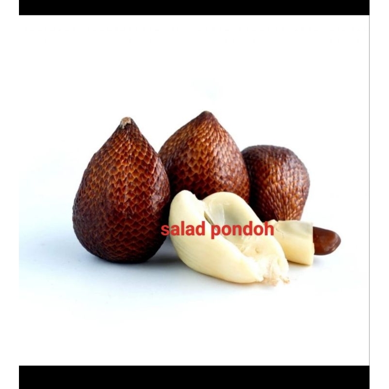 

salak pondoh per 1kg buah