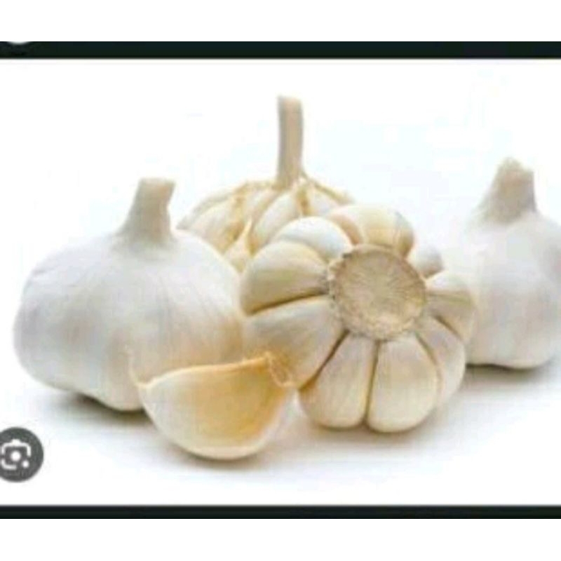 

Bawang putih 500gram