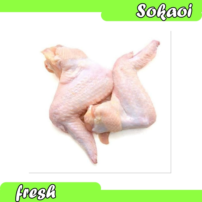 

DAGING SAYAP AYAM CHICKEN WING SAYAP AYAM SEGAR FRESH CHICKEN WING
