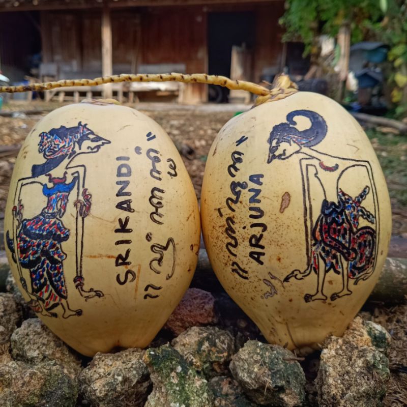 Kelapa Gading Gambar Wayang Arjuna dan Srikandi