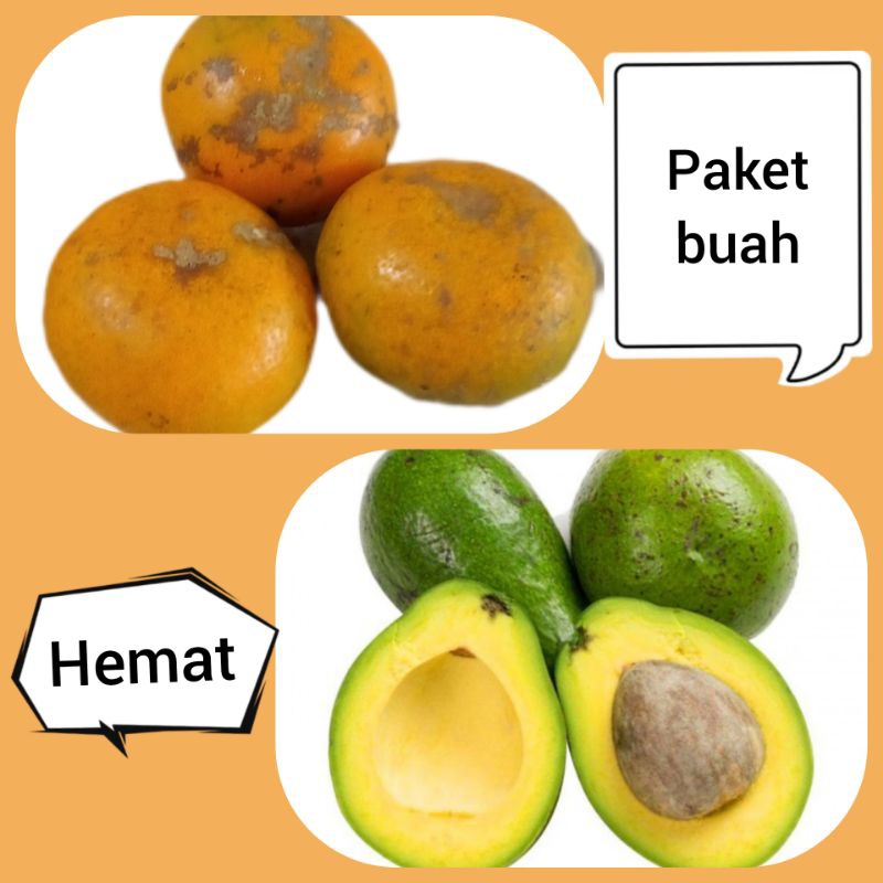 

paket buah jeruk Medan dan alpukat