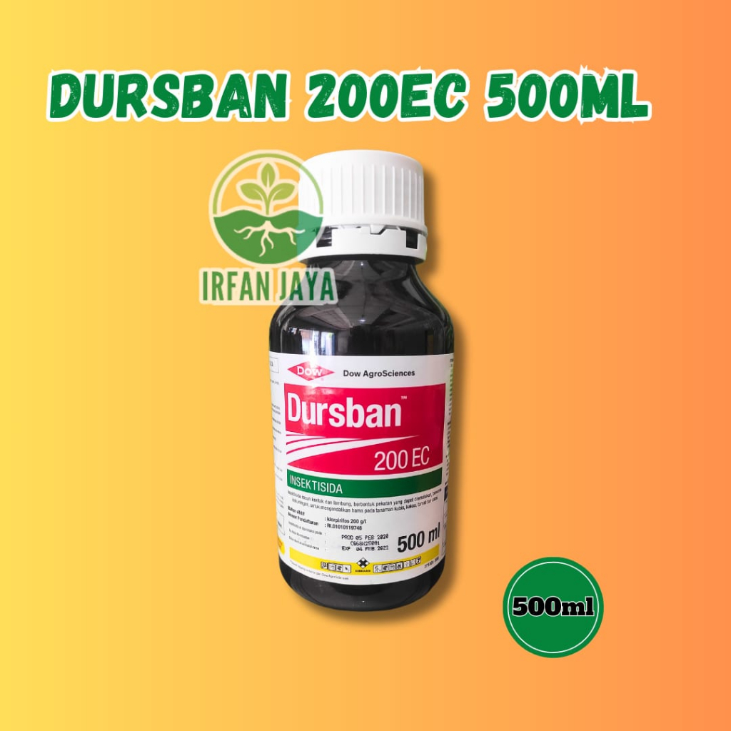 INSEKTISIDA DURSBAN 500ML
