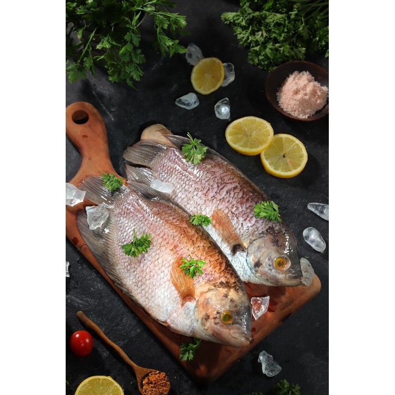 

IKAN GURAME ORGANIK / IKAN GURAME TIDAK MAKAN PELET