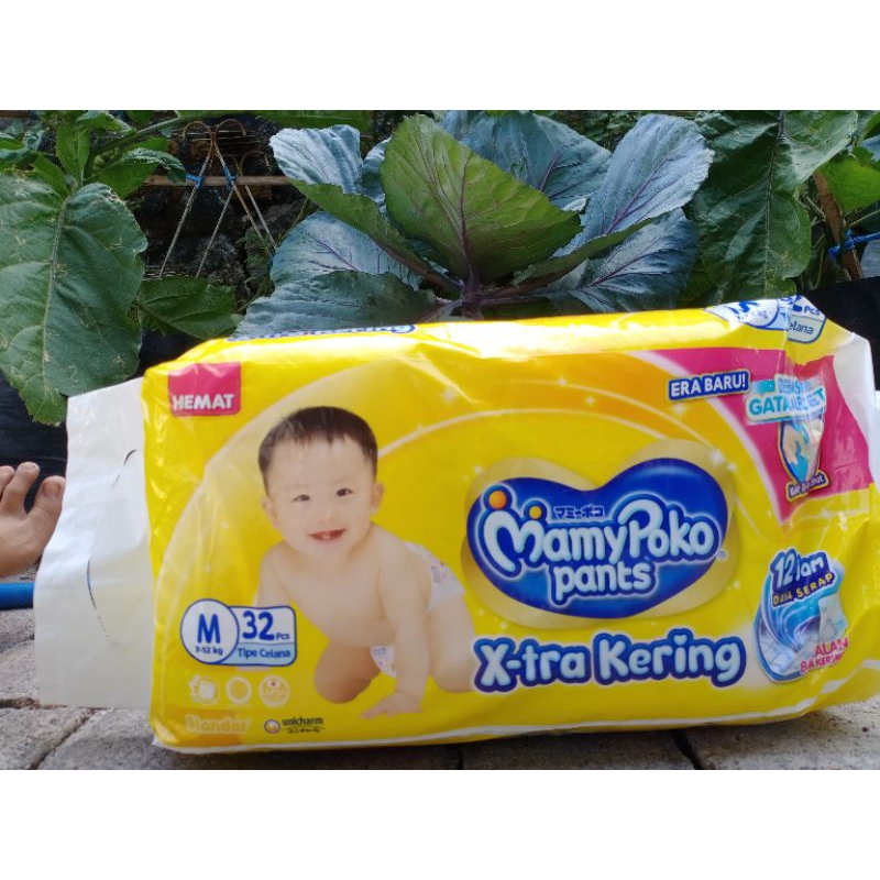 Pampers MamyPoko M