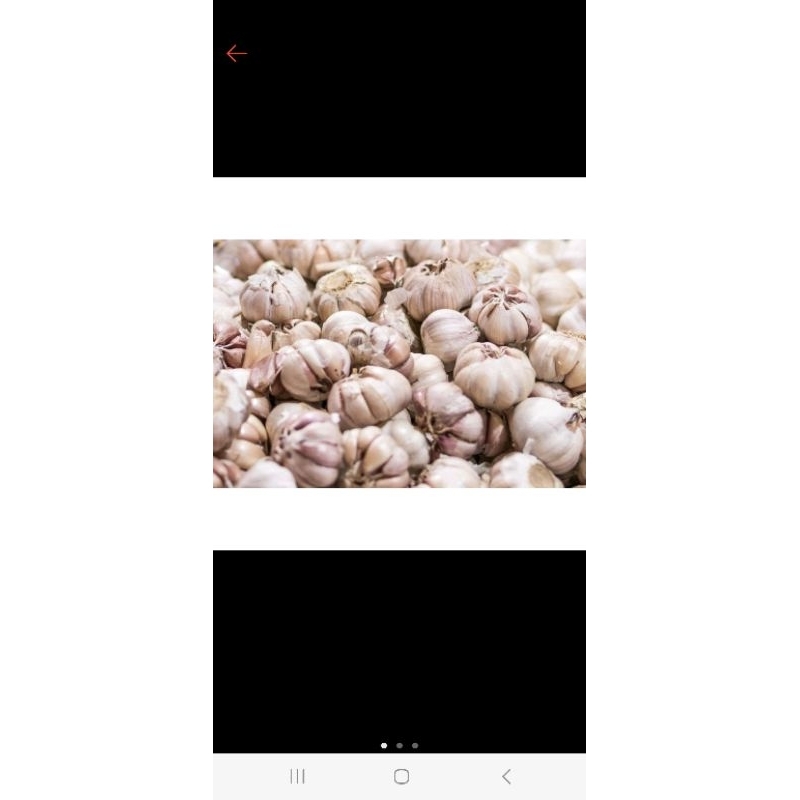 

BAWANG PUTIH 1 KG
