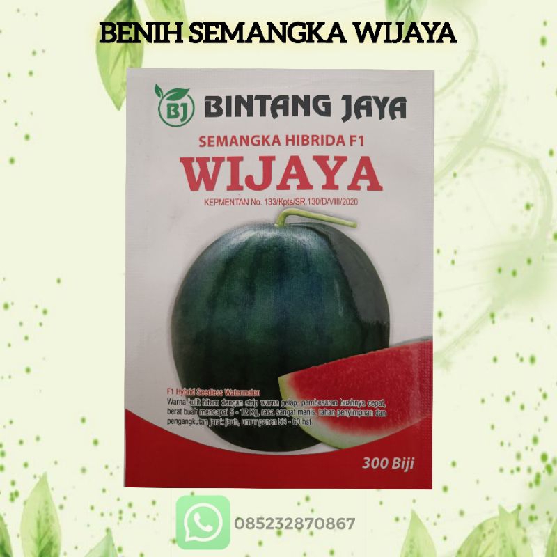 Benih Semangka non biji Wijaya