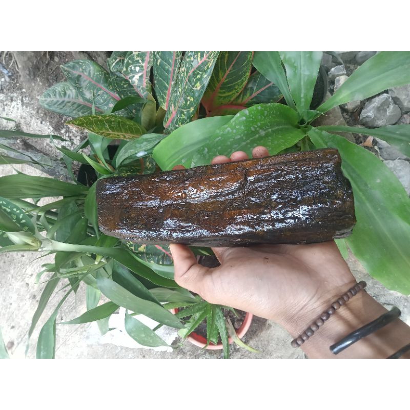 batu fosil hitam 1kg