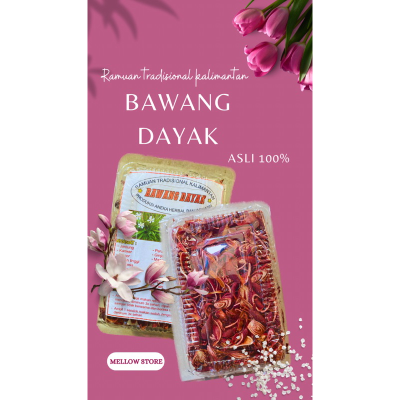 

Bawang dayak kalimantan ukuran besar