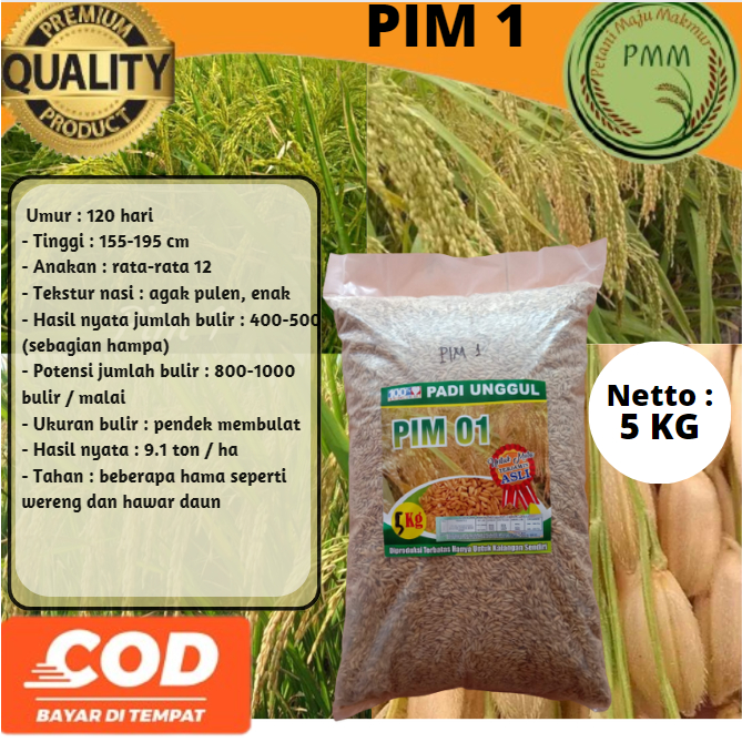 Biji Padi Raksasal PIM 1 Bibit Unggul 5kg