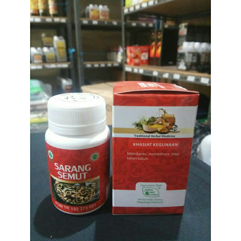 sarang semut kapsul
