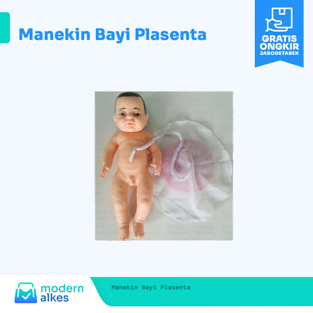 Manekin bayi plasenta - Phantom manekin bayi plasenta