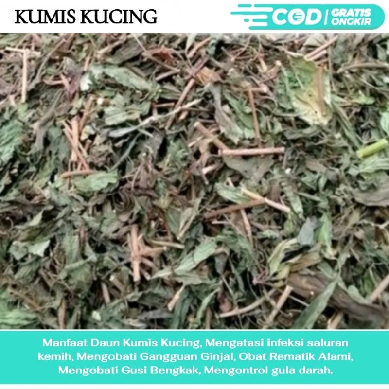 

DAUN KUMIS KUCING KERING 1KG