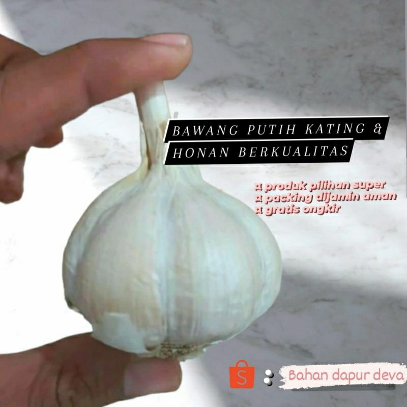 

Bawang putih kating dan honan berkualitas