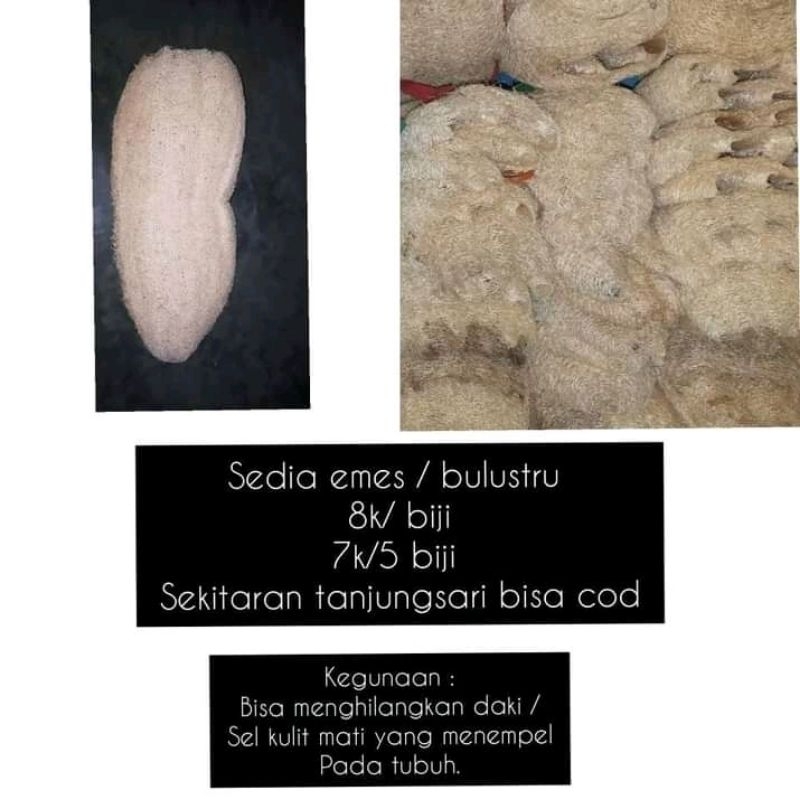 Loofahalami/blustru/emes/oyong/spons TERMURAH