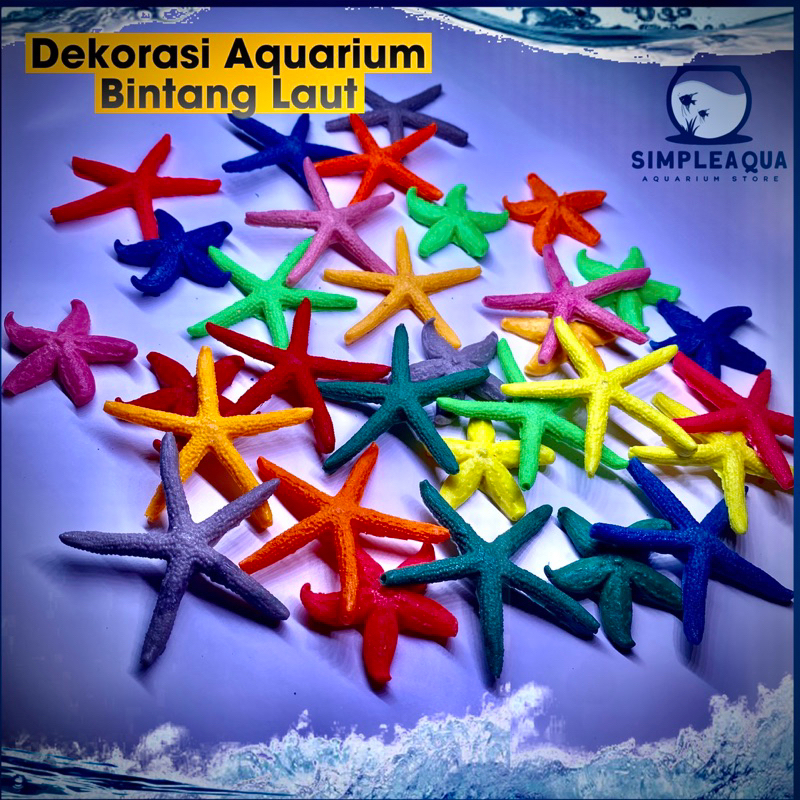 Hiasan Aquarium Bintang Laut Miniatur