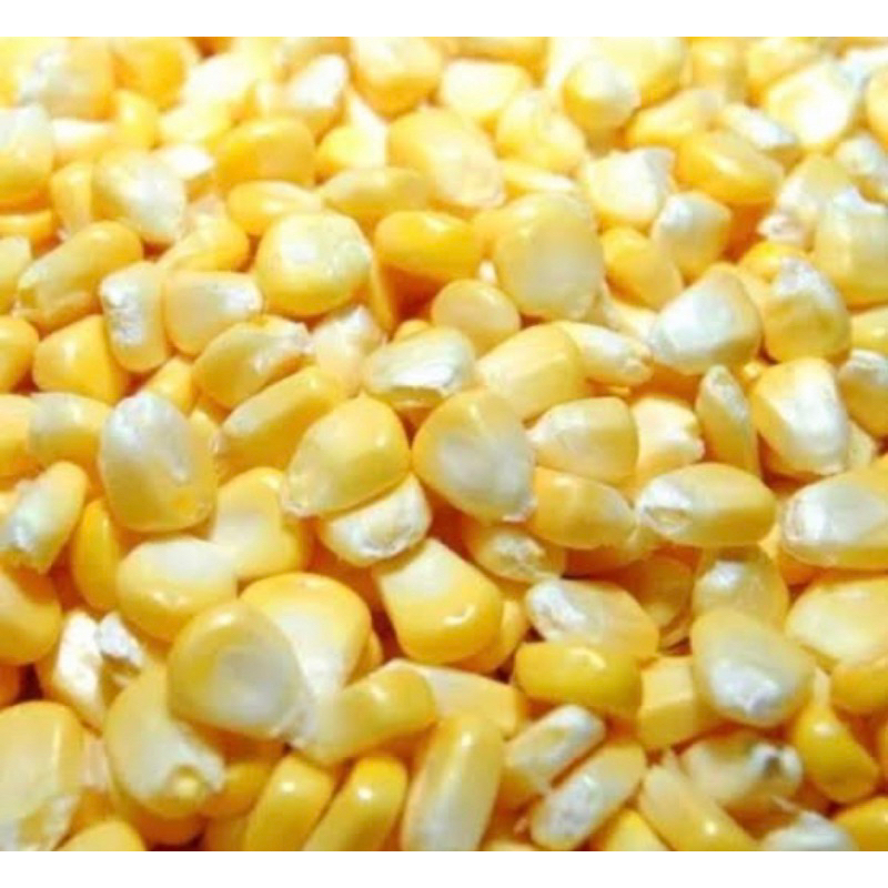 Jagung manis pipil jagung pipilan jasuke sweet corn 500gr