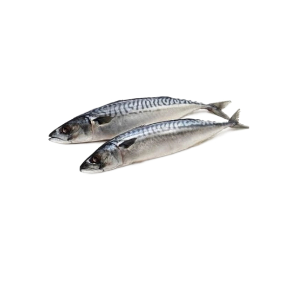 

Ikan Salam Fresh - 500 Gram