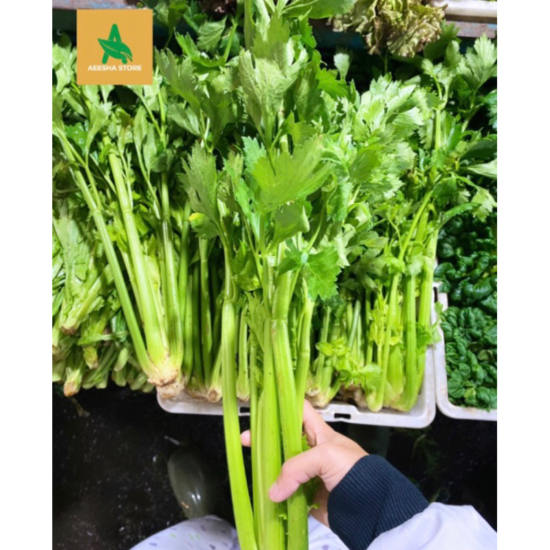 

Sayur Seledri Celery Stick 500 gr Untuk Jus Seledri Stick Celery 500gr