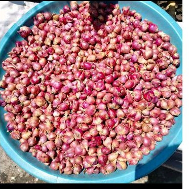 

bawang merah asli nganjuk ukuran mix