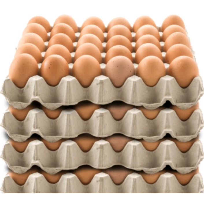 

Telur 1 Papan isi 30pcs